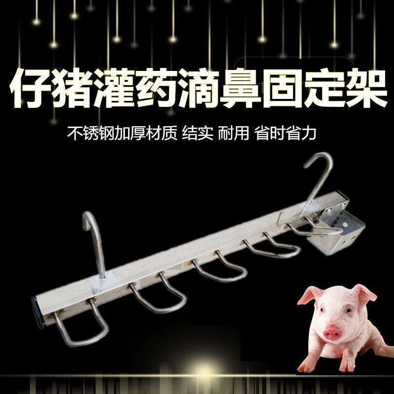 Piggy Stainless Steel Breeding Beast with wall-mounted pig-toddler feeding dunk and paparazzi pig fixing rack piggy multifunction-Taobao