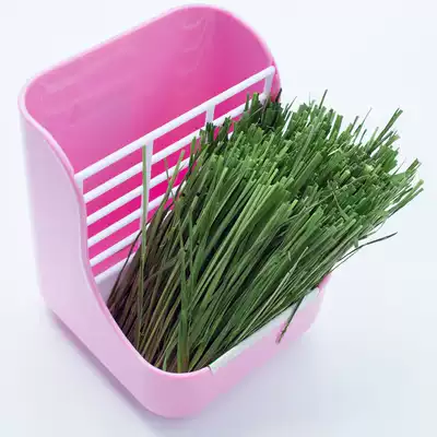 2020 new drying 5A Timothy grass section rabbit ChinChin guinea pig grain hay drying North lift 500g