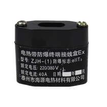 电伴热带防爆尾端接线盒ZJH-1伴热带尾部封头防水防爆防尘220V40A