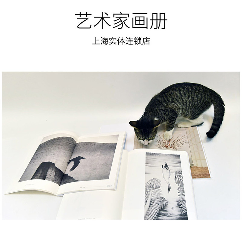 A bookbinding artist fine art collection of custom personal picture book photographic set printed hand plotter printed bookbinding