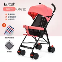 【Сядьте только】 Стандартный арбуз красный