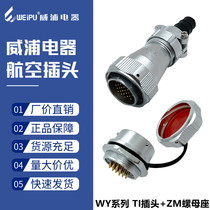 Weipu waterproof aviation plug WY20 II 2 3 4 4 5 6 6 pin 7-8-9 holes 12 core male socket TIZM