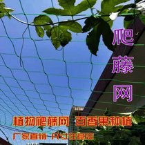 Climbing traction balcony climbing net planting wire grid gardening plant passion fruit net climbing vine