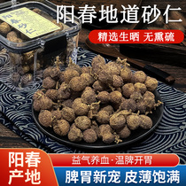 (Selected) Authentic Yangchun Amomum villosum 100g g stomach-nourishing Chinese medicinal materials wild spring Amomum villosum fruit soup ingredients