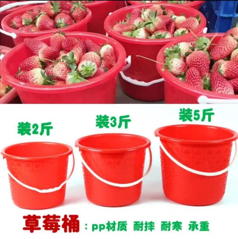 Factory Direct Sales Red Plastic Bucket Portable Strawberry Picking Bucket Cherry Picking Paint Bucket Beach Bucket for Children