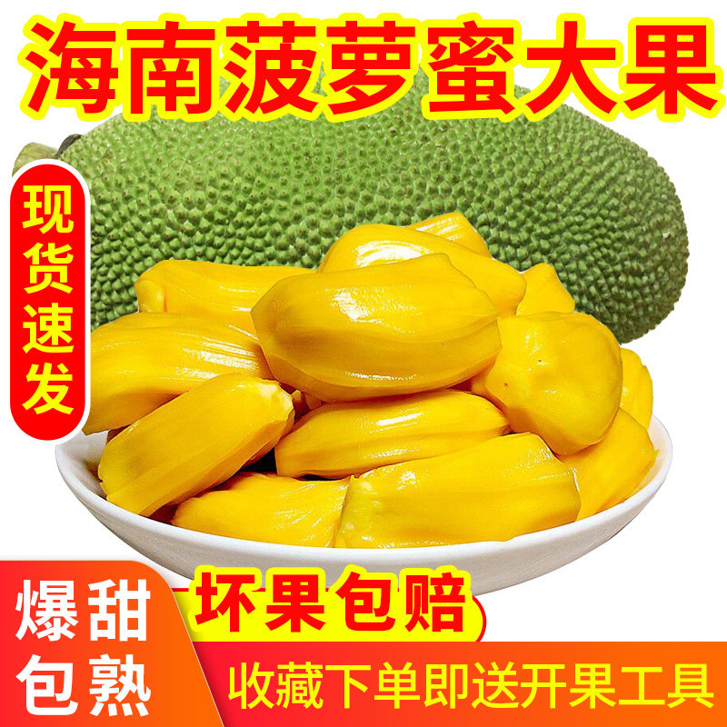 Hainan jackfruit A whole 20-40 kg fresh tropical fruit non-red heart red meat wood pineapple whole box