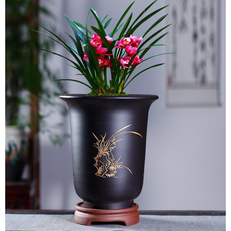 Yixing boutique purple sand rough pottery simple succulent orchid pot desktop green plant ceramic large orchid pot carving