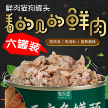 170 gr * 6 Pamper Music Universal Salmon Tuna Chicken Mousse Puppy Dog Adult Dog Into Cat Cans