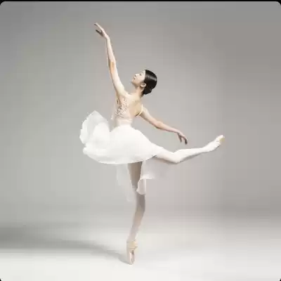 (6 24 new spot second hair)South Korea sissone ballet dance practice velvet embroidered body suit