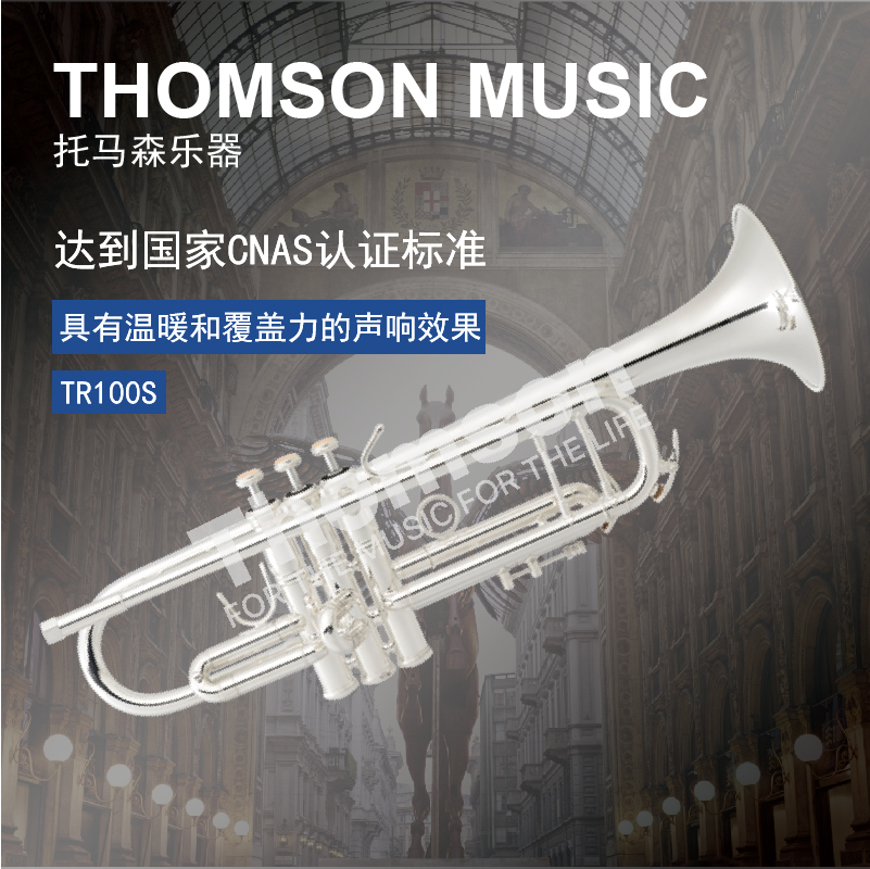 Thomas TR 100S clamp paint spray brings warm and covered sound effect