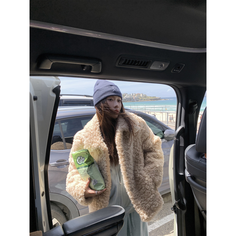 44Aasi Teddy Curly Street Style Lamb Wool One-Piece Fur Coat with Lapel for Autumn and Winter Warm Outerwear 44Aasi Teddy Curly Street Style Lamb Wool One-Piece Fur Coat with Lapel for Autumn and Winter Warm Outerwear