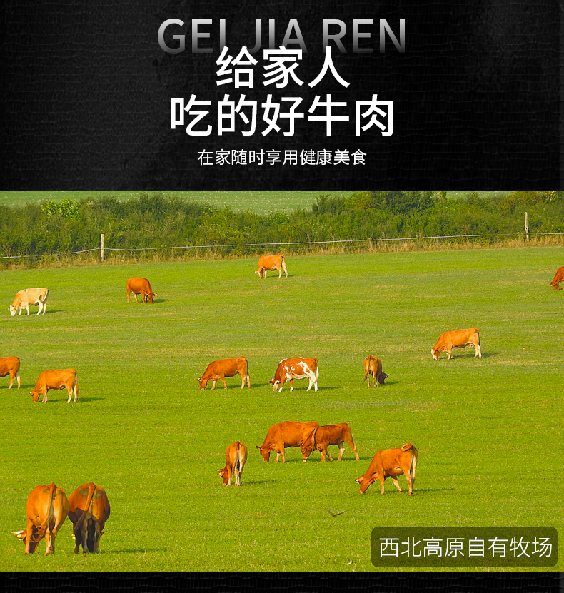 甘肃兰州拉面 清真牛肉拉面 2盒 图21