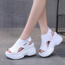 Chunky Platform Sport Sandals for Women Summer 2021 New Fash