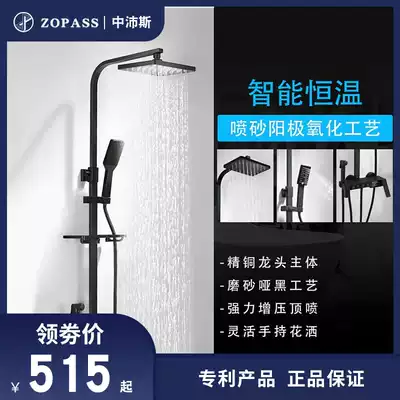 Black household cosmetic room all copper hot and cold shower shower shower shower kit