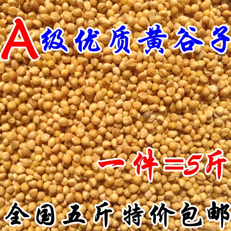Parrot feed bird grain shell millet rice cereal tiger skin peony peony shell millet feed bird grain