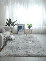 Nordic Light Extravaganza Superior Living Room Large Carpet Thickened Grey Non-slip Resistant Dirty Bedroom Bedside Blanket Home Pure Color Cushion