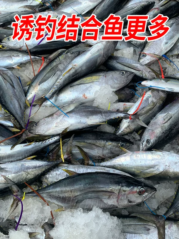 Кормушка для рыбалки Heni, морские принадлежности для рыбалки, группа Tianping, сборка, стальная нержавеющая, погружная, донная, устройство уловки глубоководной рыбной ловли