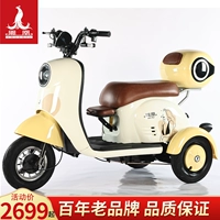 Феникс, электрический трехколесный велосипед для пожилых людей, электромобиль, новая коллекция