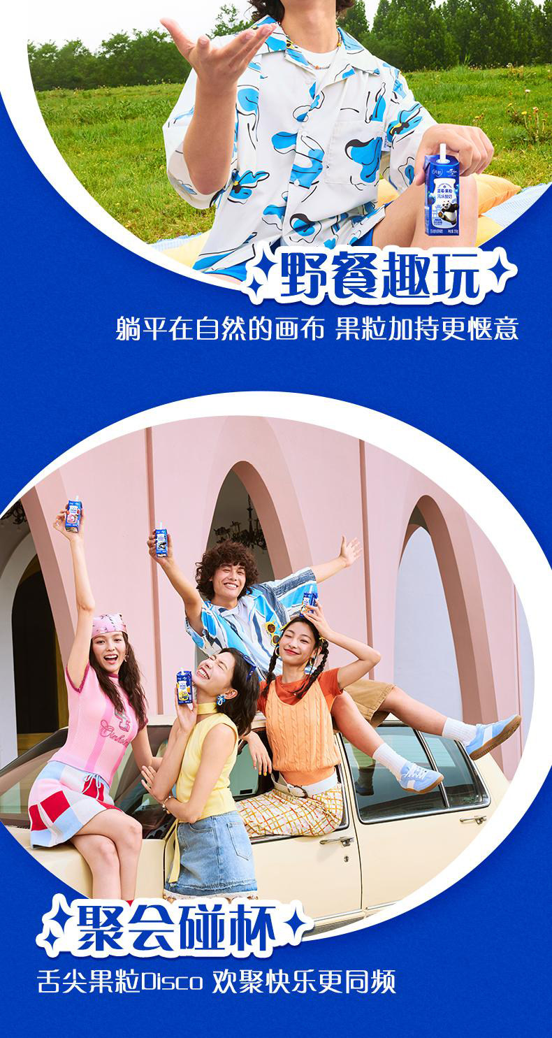 安享好物 安享C级酸奶-蒙牛纯甄 芒果酸奶 国标 
