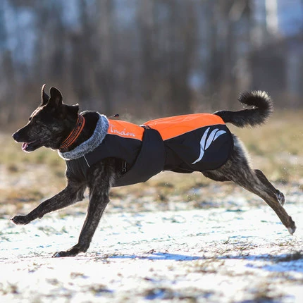 Truelove Dogs и собачья одежда полярная зарядка
