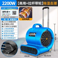 Коммерческая модель мощностью 2200 Вт [чрезвычайно быстрая сушка феном + шкив] трехскоростная регулировка частоты