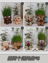 Wheat Grass Doll Seed Grass Watering Long Grass Plant Grass Head With Tray Creative Couples Head Long Grass Doll Small Potted Plant