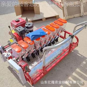 Mustard water spinach snow red seed yl-bzj kohlrabi spinach machine radish on demand celery leek machine