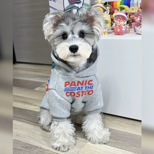 Демисезонный шнурок-держатель, флисовая удерживающая тепло толстовка, в корейском стиле