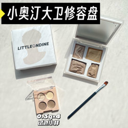 Little Autin David의 소형 크기 하이라이트, 매트는 얼굴 4 가지 색상 01 테스트 샘플을 밝게합니다.