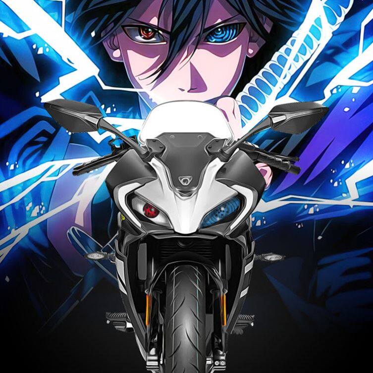 Motorcycle car stickers are suitable for spring breeze 250sr stickers modified headlight decals personality waterproof version flower pull flower customization