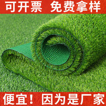 Green lawn grass seeds four seasons evergreen Manila grass seeds net seeds slope protection turf grass seeds carpet grass lawn seeds