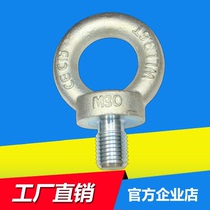 Public National Label rings Rings Screw Rings Bolt screws Lifting M6 M6 M10 M12 M12 M100