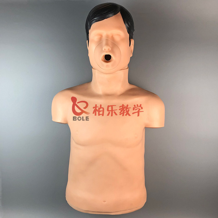 成人气道梗塞和CPR模型心肺复苏急救训练模拟人柏乐教学厂家直销