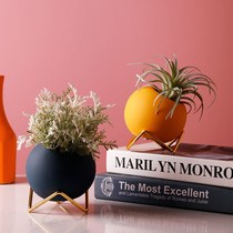 Nordic minimalist Morandi Ceramics Vase Ins Creativity Living Room TV Cabinet Full Star Flower Arrangement Emulation Flower Pendulum