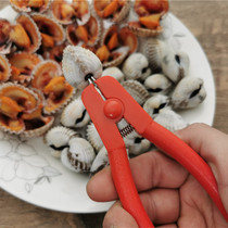 Blood Clams Pliers Blood Mussel Pliers Hackles Hair clams with cockles Divine Instrumental Flowers Clammy Clams opener Blood Clams Opener Open Blood-Haw Tools
