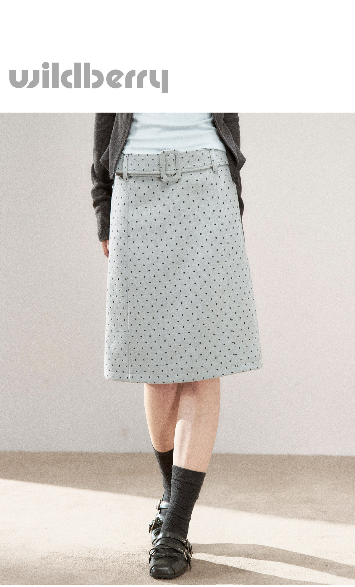 Wildberry Polka Dot Belted A-Line Midi Skirt