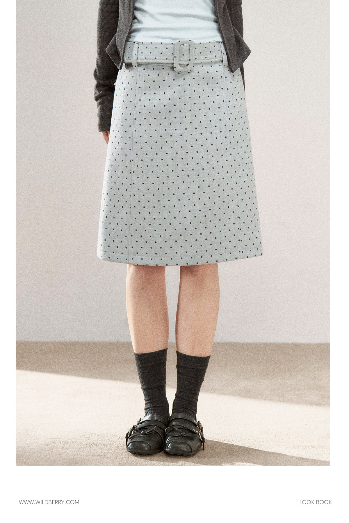 Wildberry Polka Dot Belted A-Line Midi Skirt