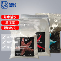 Japans CREAT REEF black sand and white sand carrying water live sand series pure white reef rock beach sand landscaping