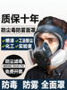 Full-Face Gas Mask for Toxic Gases, Spray Painting, Hydrogen Sulfide, Chemical Plants, Fully Enclosed, Carbon Monoxide Protection