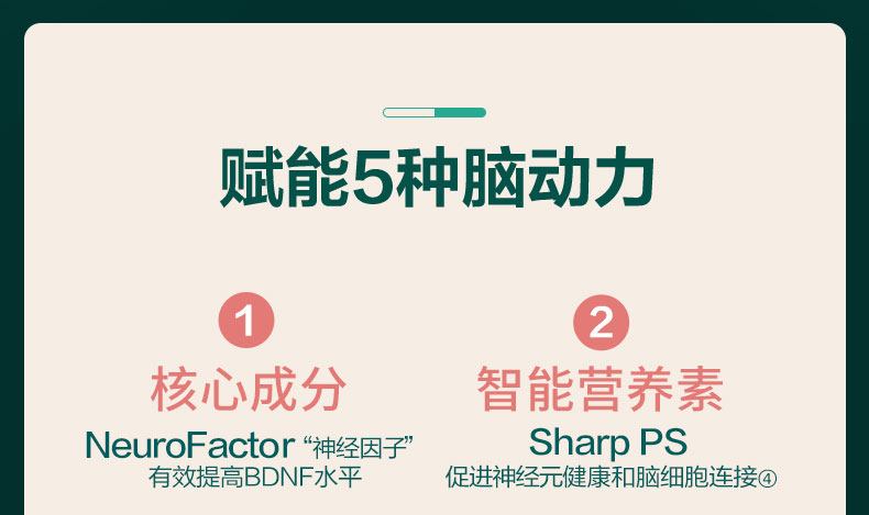 脑动力补脑成人增强脑黄金记忆力