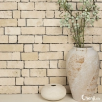 Средний и древний тишина Ветром нерегулярно разбитый край бежевый матовая мозаика