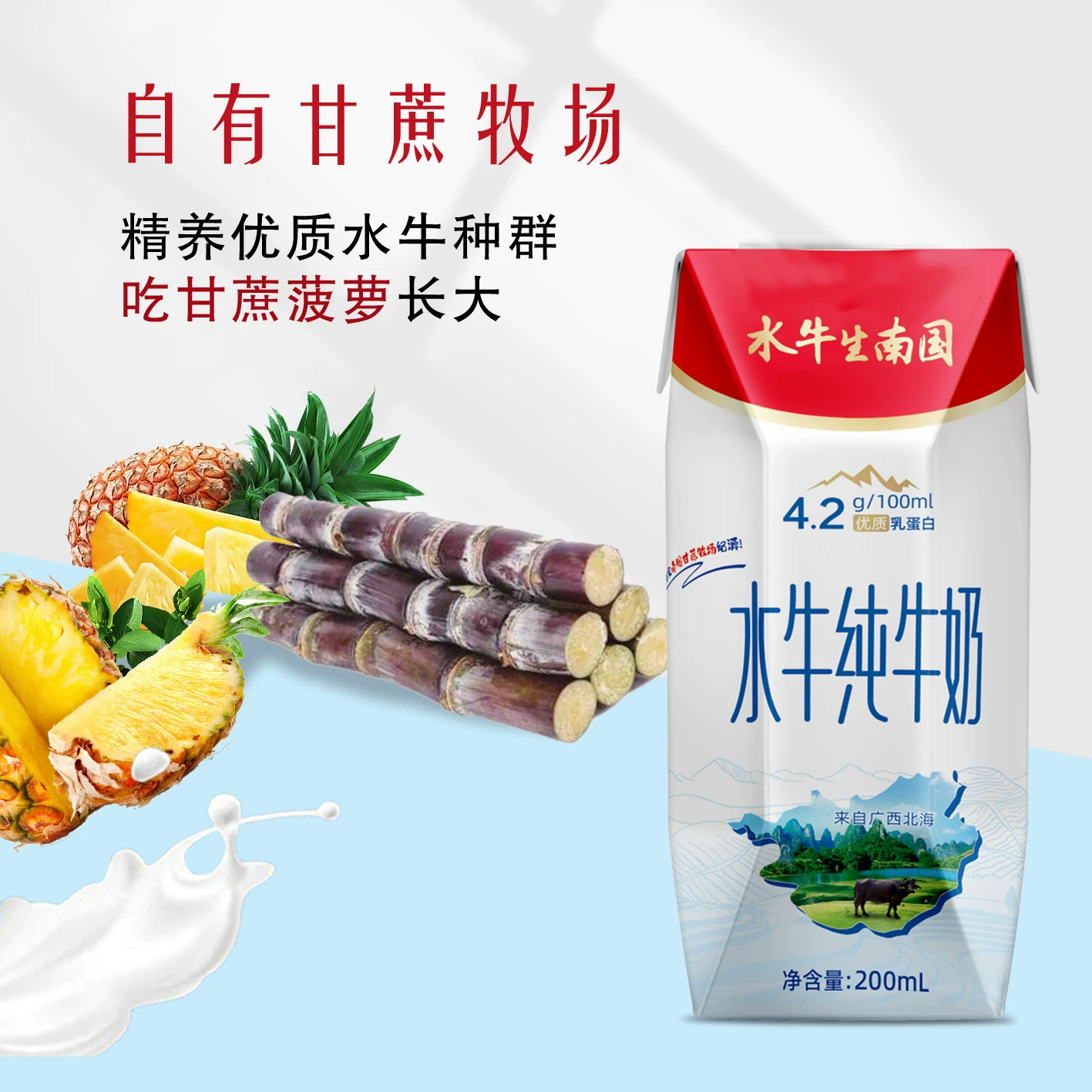 Guangxi чистое молоко 200мл*10 коробок по 6 шт витаминная молочная продукция для завтрака семейный запас