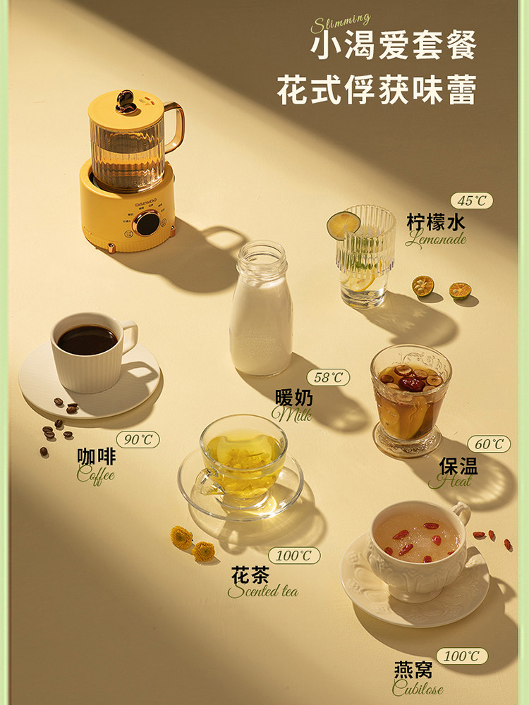 DAEWOO 大宇 Y01 元气电热养生杯 400mL 双重优惠折后￥180顺丰包邮 2色可选