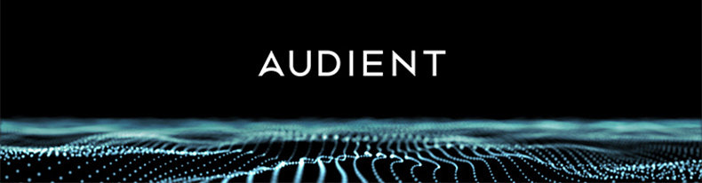 Audient/奥顿特iD44 MKII声卡插图11