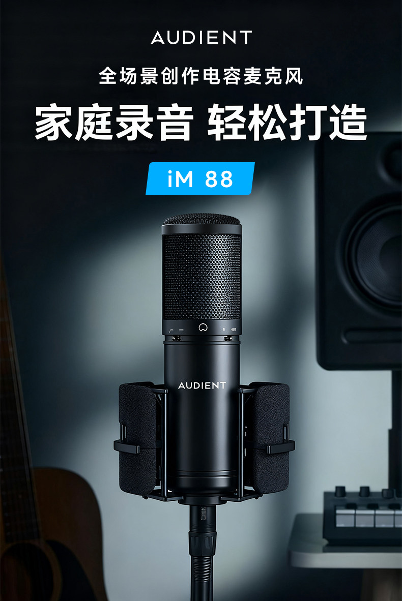 Audient/奥顿特iM88插图4