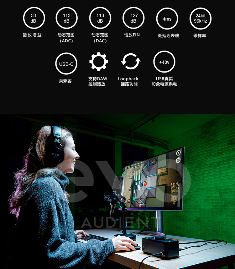 Audient/奥顿特SR1插图5