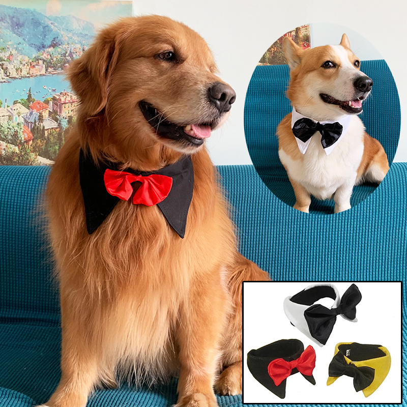 Dog bow tie pet bow small medium and large dog collar flower collar Ke Jin Mao Teddy Alaskan tie