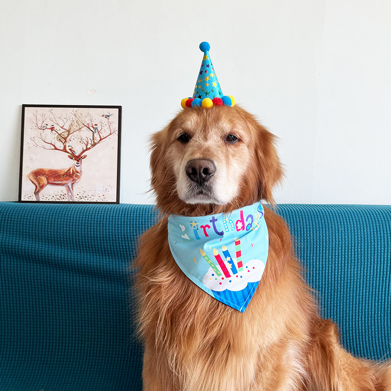 Pooch Birthday Party Hat Triangle Towel Ke Fund Hair Side Pastoral Birthday Pet Saliva scarves with large canine scarves-Taobao