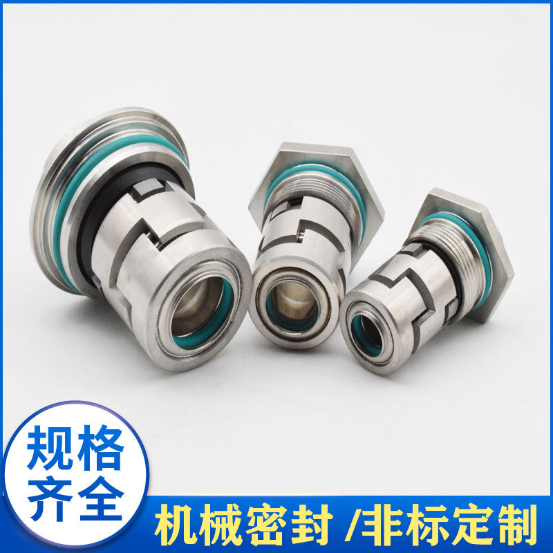 Lou Stainless Steel Water Pump Mechanical Seal Lvr/Lvs1 3 5 10 15 20 32 45 64 Shaft Seal Machine Seal