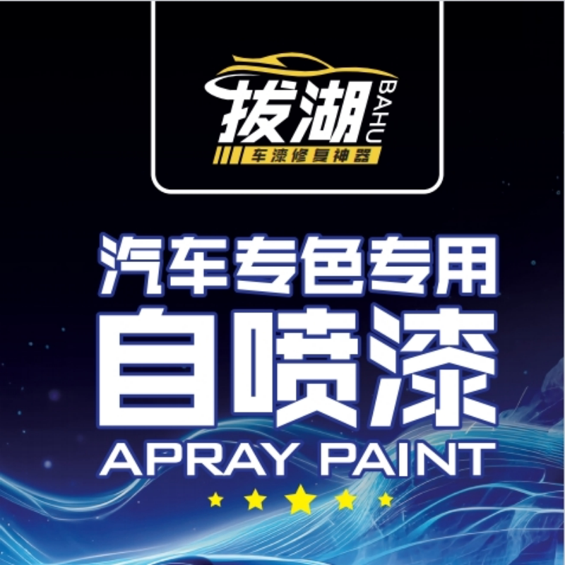 拔湖汽车自喷漆店的LOGO